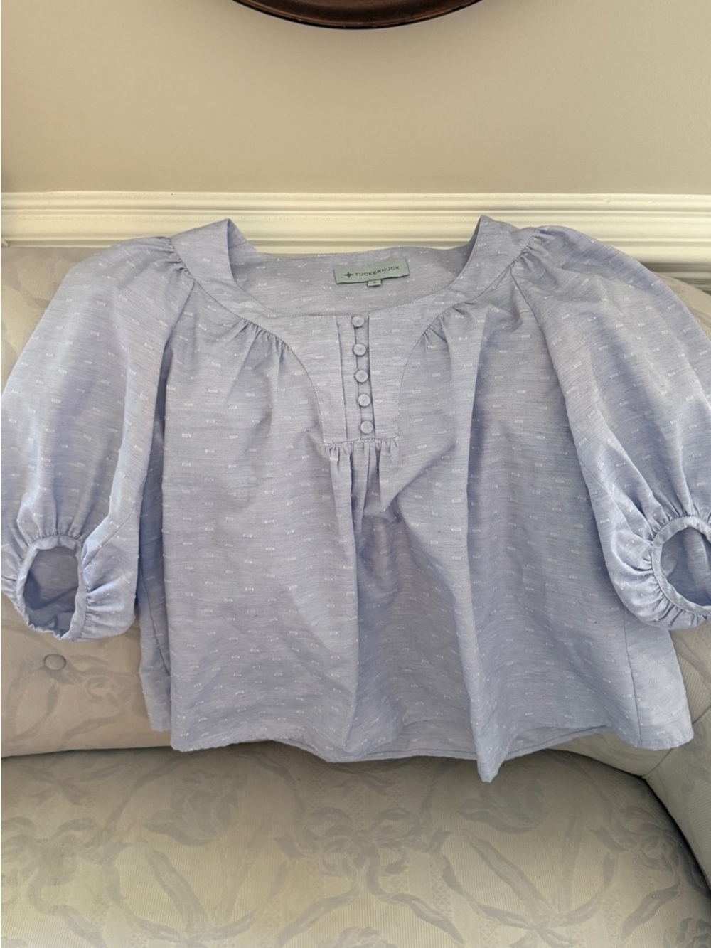 Tuckernuck Light Blue Puff Sleeve Button-Front Blouse